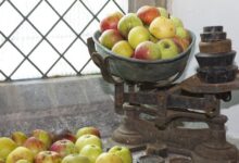 4 Jenis Timbangan Yang Biasa Digunakan Manusia, Manfaatnya Sangat Beragam! 3 windfall fruit 959033 1280 e1744620094268