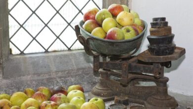 windfall fruit 959033 1280 e1744620094268