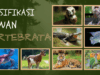 Hewan vertebrata 1