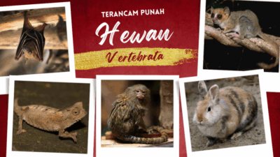 Hewan vertebrata yang terancam punah