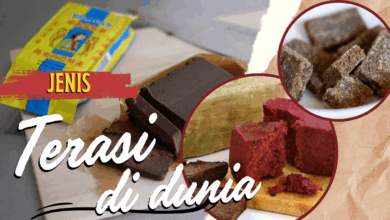 Jenis terasi di dunia