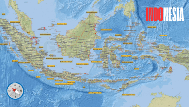 Peta Geografis Indonesia