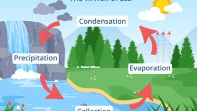 SIklus air e1746541893817