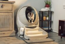 clean bundle lifestyle 2 1560x1020 1