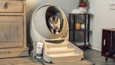 clean bundle lifestyle 2 1560x1020 1