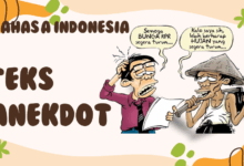 teks anekdot