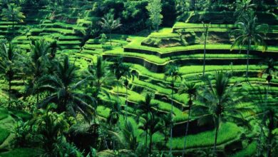 1467a700 7195 4ca5 9ac4 c34ac49e6650 e1751258380794