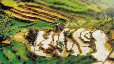 Desa Wukirsari e1748714874768