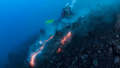 Gunung berapi bawah laut e1750141233169
