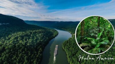 Hutan Amazon