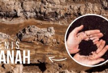 Jenis Tanah di Indonesia