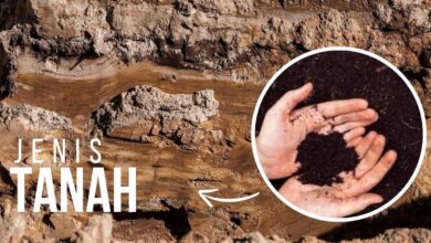Jenis Tanah di Indonesia