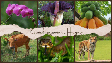 Keanekaragaman hayati