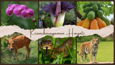 Keanekaragaman hayati