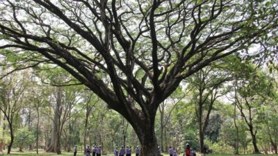 Kebun Raya Purwodadi