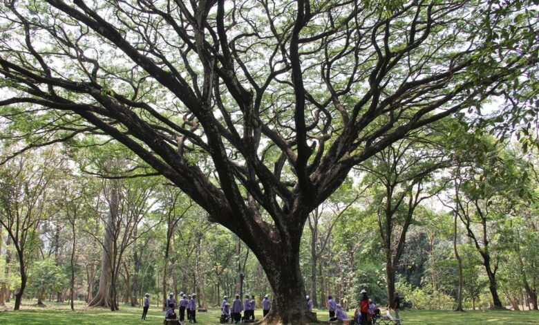 Kebun Raya Purwodadi