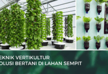 Memanfaatkan Teknik Vertikultur Sebagai Solusi Berkebun di Lahan Sempit 3 Teknik Vertikultur