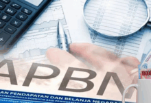 istlah dalam keuangan negara