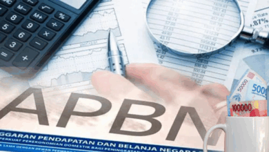 istlah dalam keuangan negara