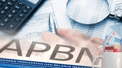 istlah dalam keuangan negara