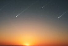 pexels felipe helfstein 871817 1937687 e1749203620379