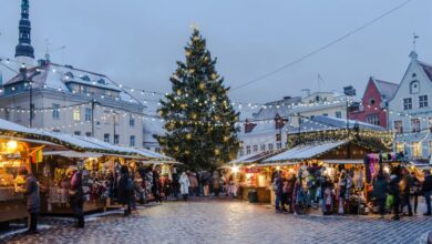 Estonia e1751383430331