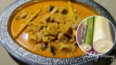 Makanan Olahan dari gedebog pisang