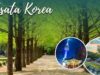 Wisata Di Korea