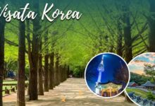 Wisata Di Korea
