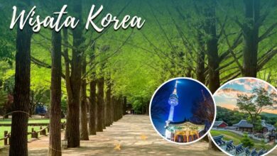 Wisata Di Korea