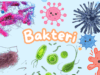 Bakteri