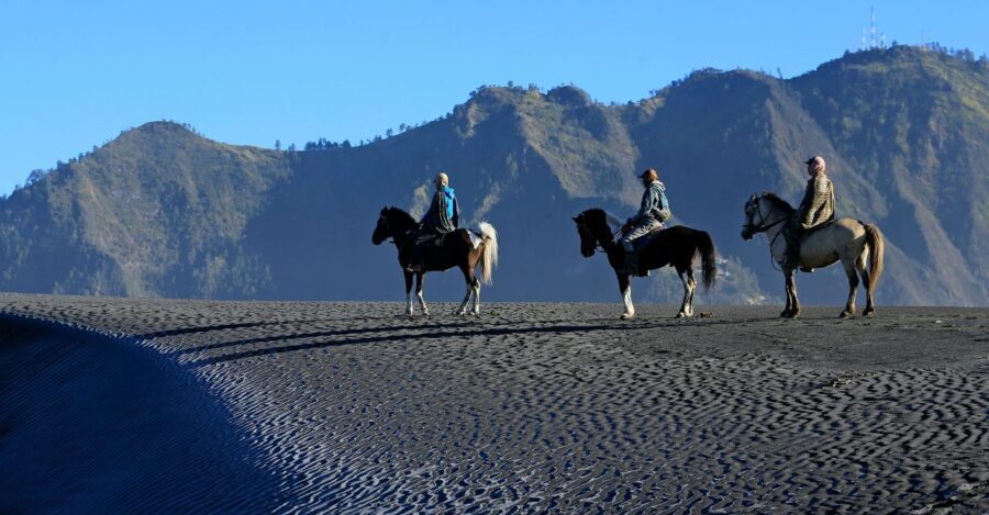 Foto bersama kuda Bromo e1754217266200