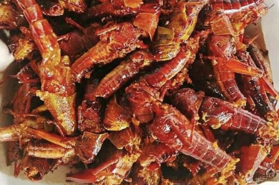 IMG 3425 e1756433701474