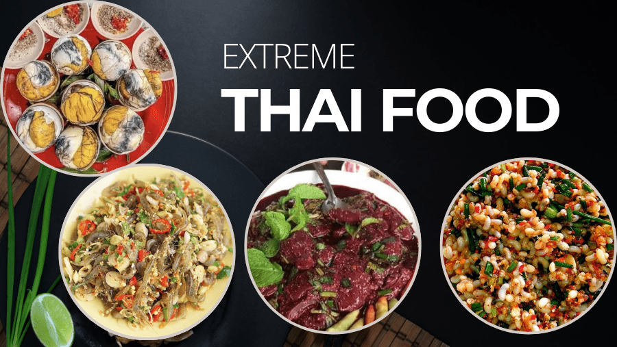 Makanan Ekstrem Thailand