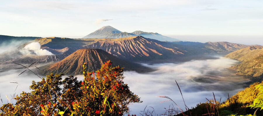 Penanjakan 1 Bromo e1754230452295