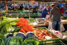 vegetables 5992673 1280 e1755255676847