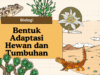 Bentuk adaptasi pada hewan dan tumbuhan