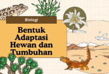 Bentuk adaptasi pada hewan dan tumbuhan