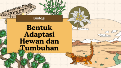Bentuk adaptasi pada hewan dan tumbuhan