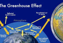 Pemanasan Global dan Efek Rumah Kaca