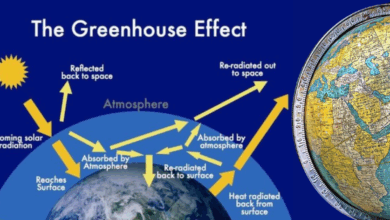 Pemanasan Global dan Efek Rumah Kaca