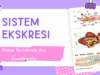 Sistem Ekskresi Pada hewan vertebrata dan invertebrata