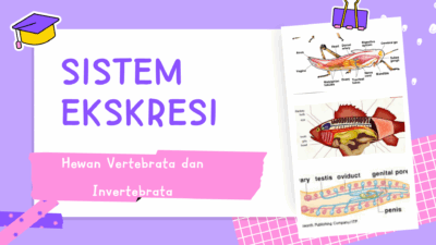 Sistem Ekskresi Pada hewan vertebrata dan invertebrata