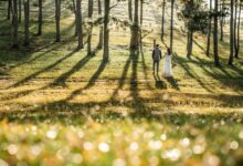 wedding 6674650 1280 e1757927045711