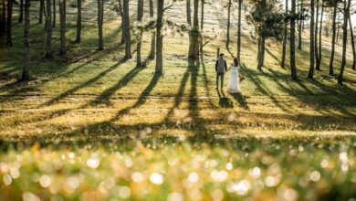 wedding 6674650 1280 e1757927045711