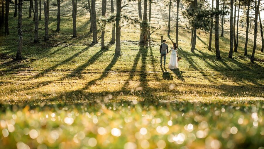 wedding 6674650 1280 e1757927045711