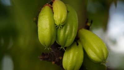 bilimbi 7613287 1280 e1760173434523