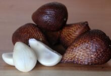 Jangan Sepelekan! Ini Dia 9 Manfaat Buah Salak untuk Kesehatan Tubuh 3 snake fruit 2829354 1280 e1760361795289
