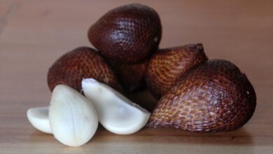 snake fruit 2829354 1280 e1760361795289