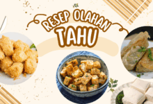 Olahan Tahu